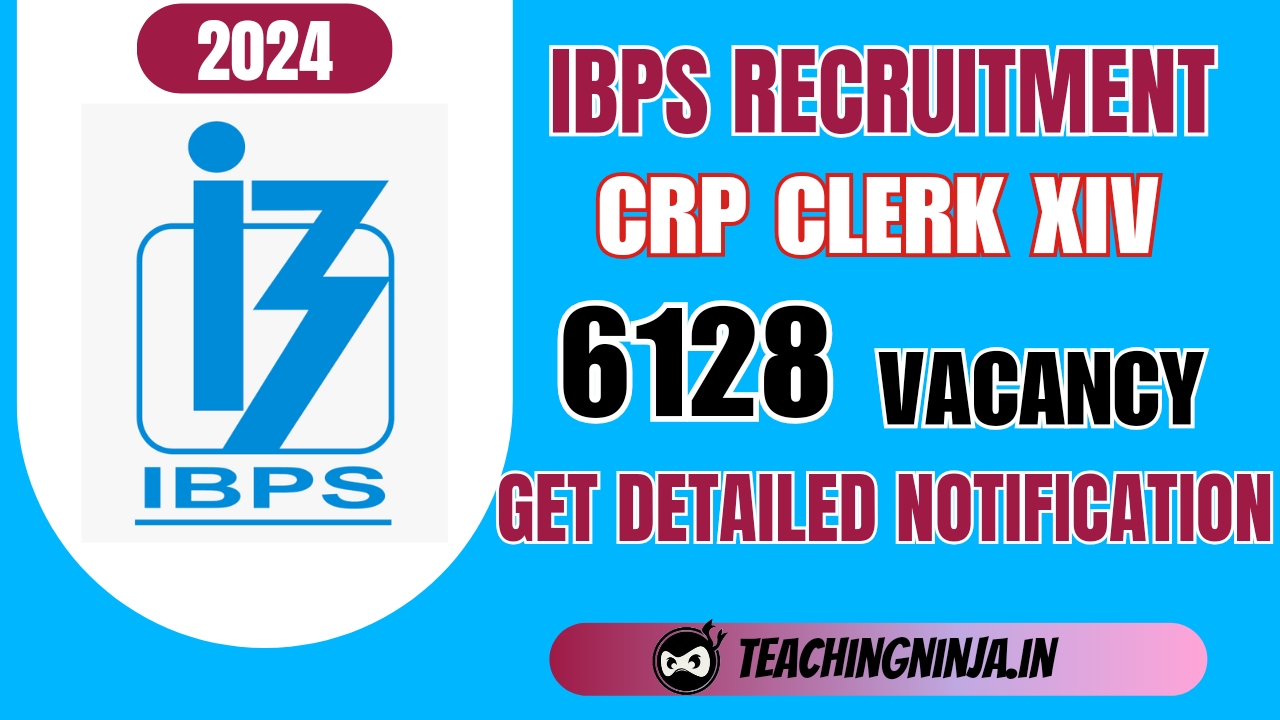 IBPS CRP Clerk XIV 6128 Posts Recruitment 2024