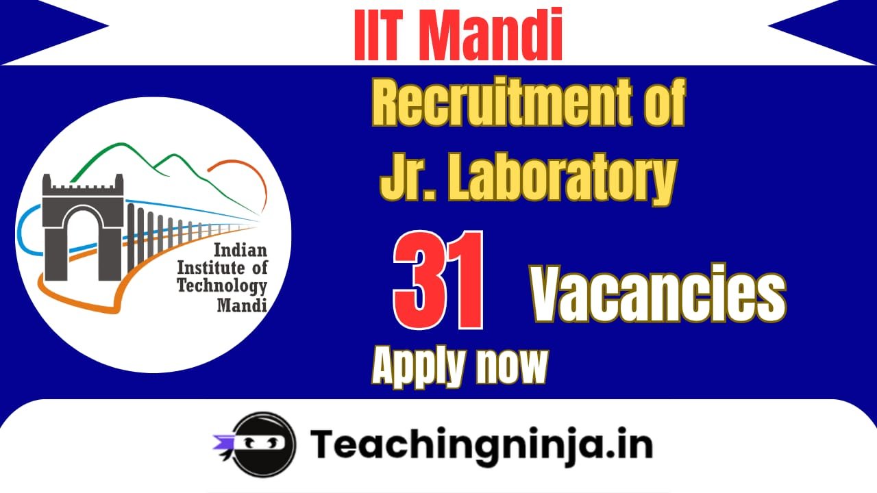 IIT Mandi Notification 2025 out for 31 Posts Apply Online
