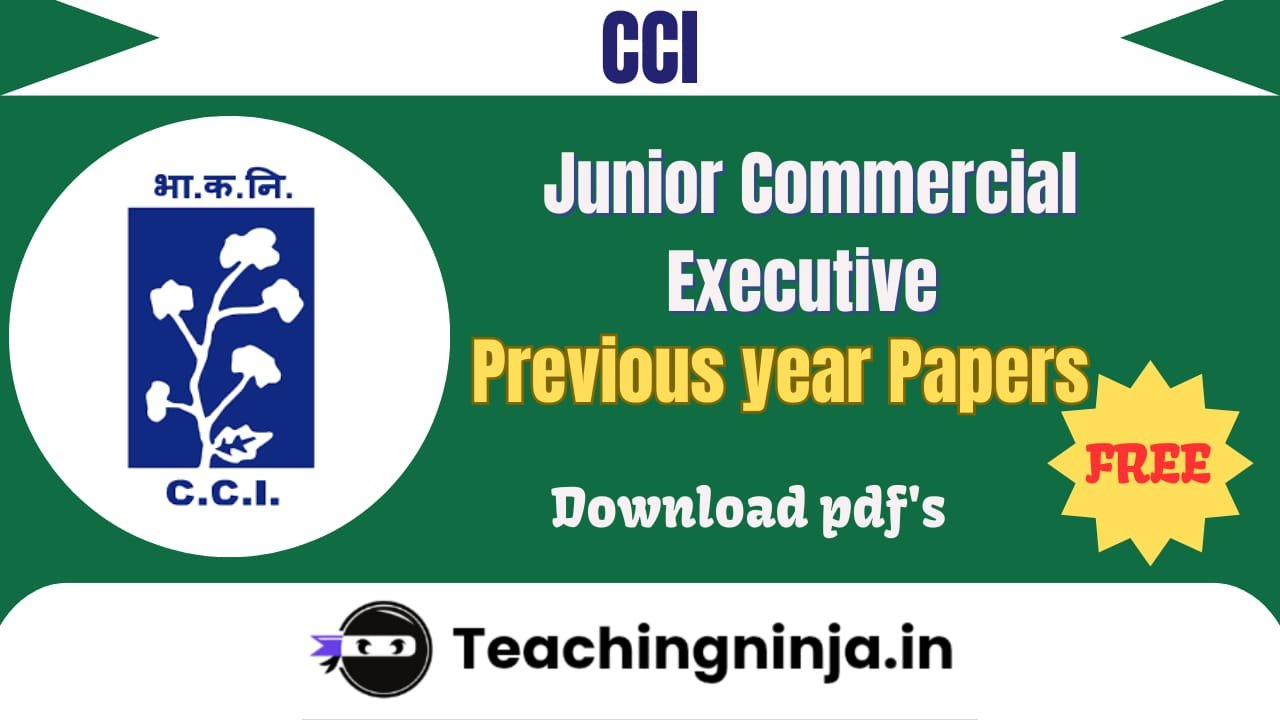 CCI Junior CE Previous Papers Pdf Free Download